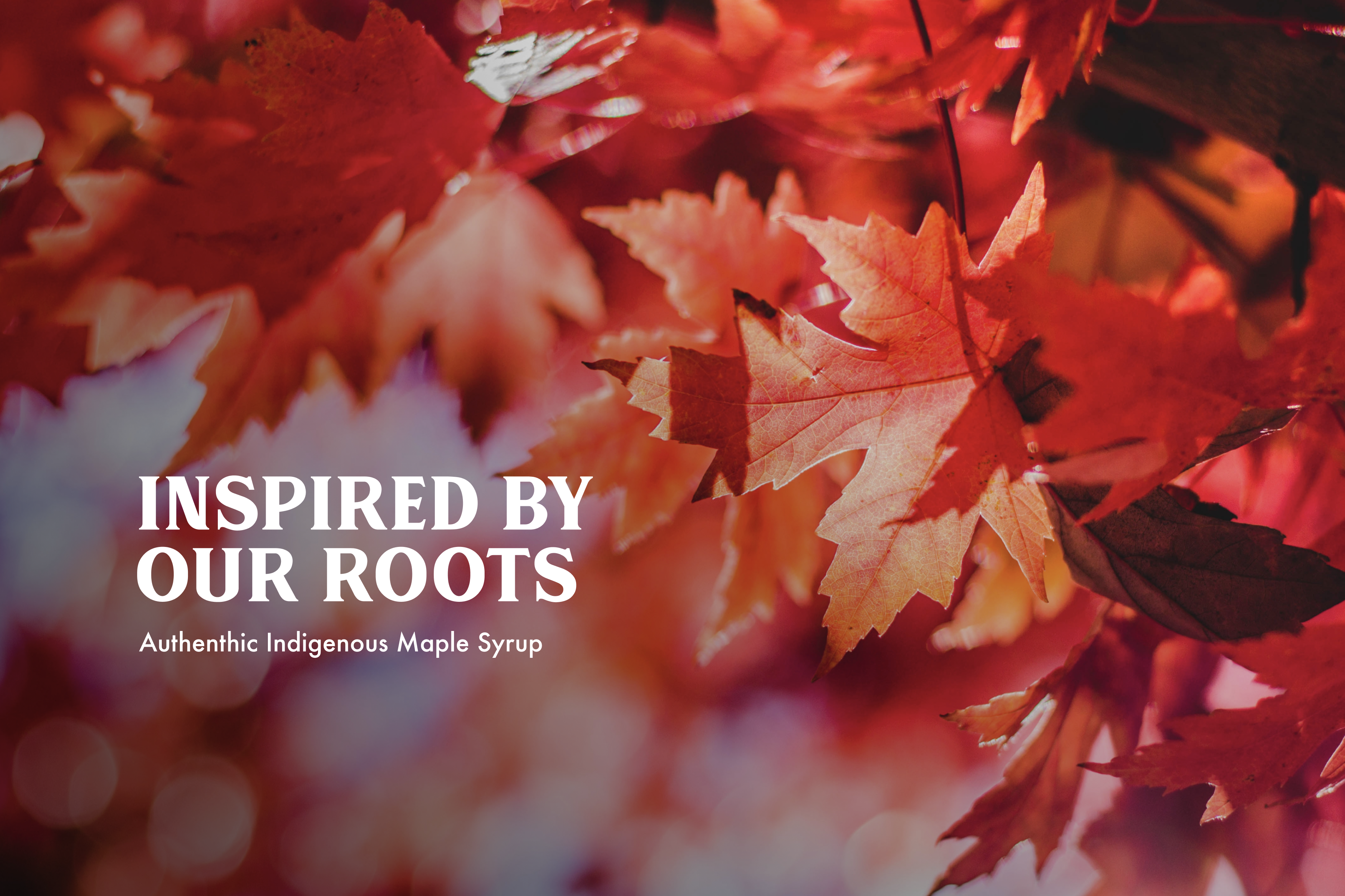 Inspired by our Roots! Authentic Indigenous, female owned maple syrup! The leaves are red maple leaves in the background, with white text in the foreground